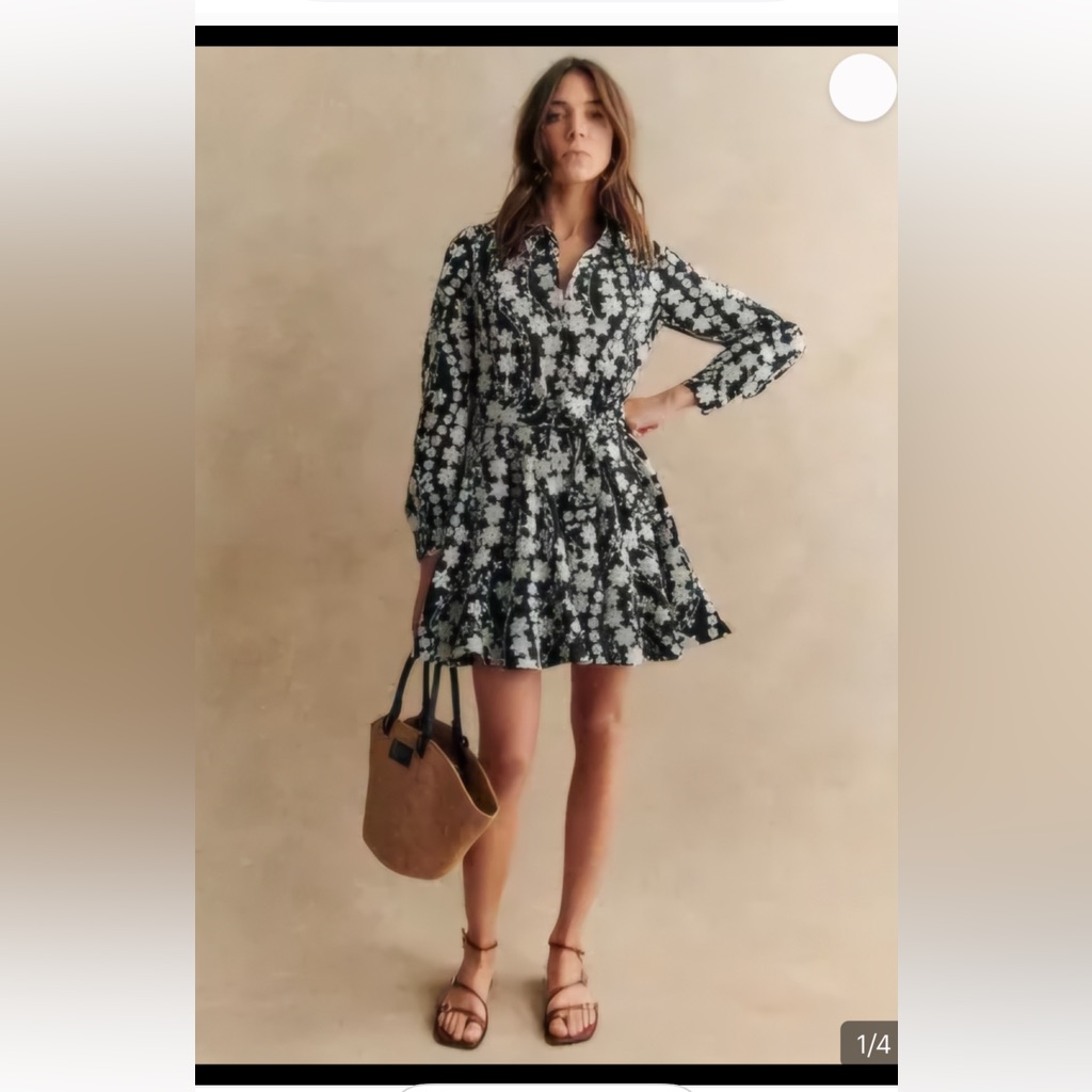 Sezane Sol Dress - Worn One Time